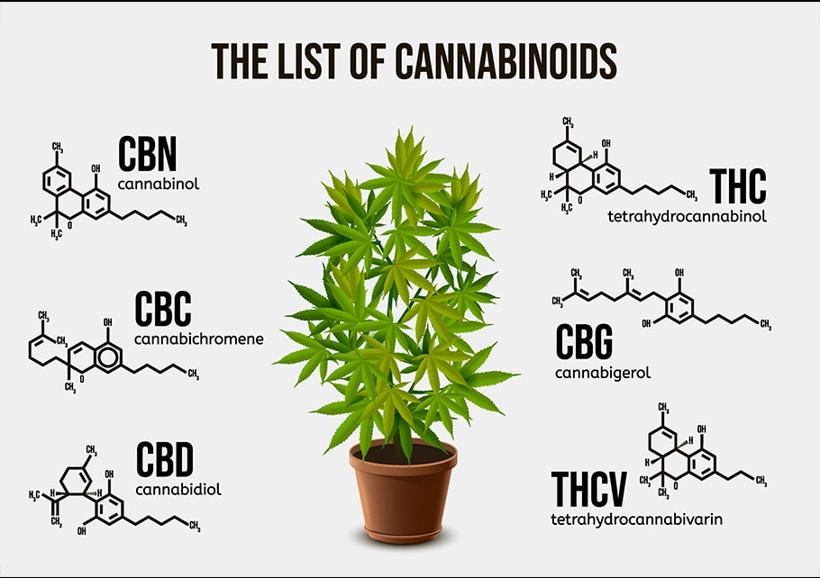 list of cannabinoids