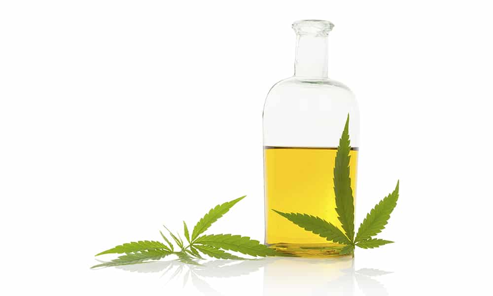 cannabis oil for pain