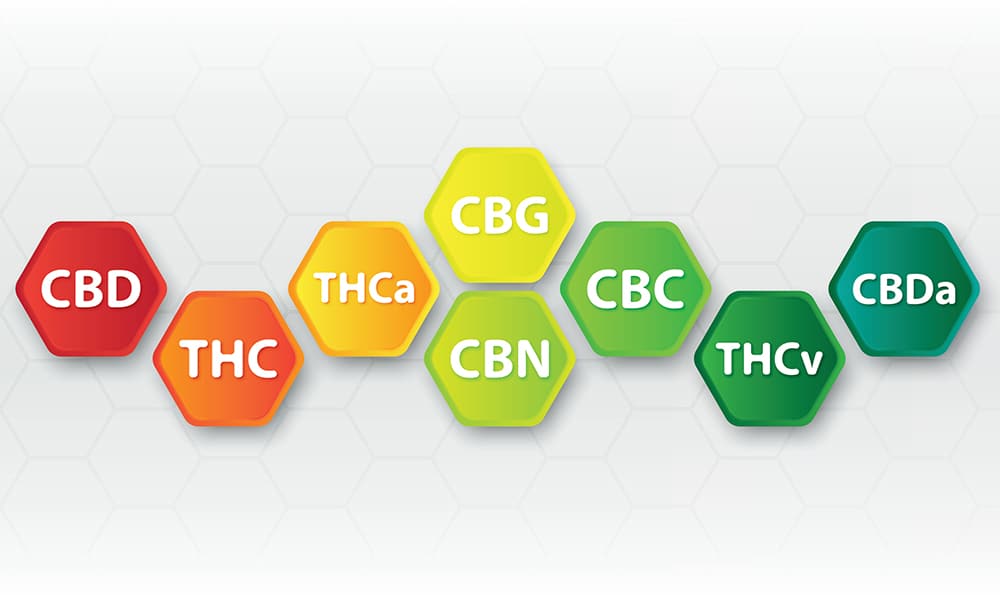 THC CBD CBN and CBG