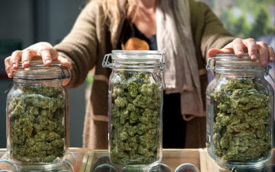 Recreational Cannabis Dispensary Procedures